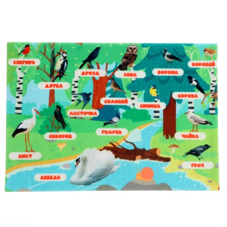 Game - designer "Studying birds" 16 details-2