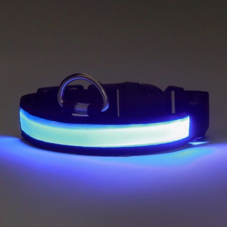 Collar with flash light 3 lumber modes Size S, Osh 35-43 x 2.5 cm blue-3