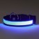 Collar with flash light 3 lumber modes Size S, Osh 35-43 x 2.5 cm blue