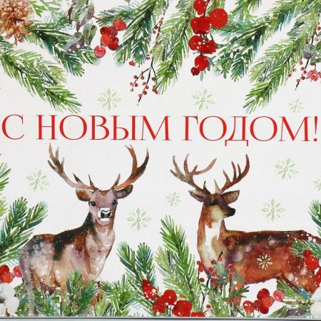 Folding box "New Year's watercolor", 27 x 21 x 9 cm, New Year-4