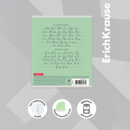 Notebook 12 sheets in a narrow ruler, Erichkrause Visio "Classic", cover coated a cardboard, an offset block, green-3