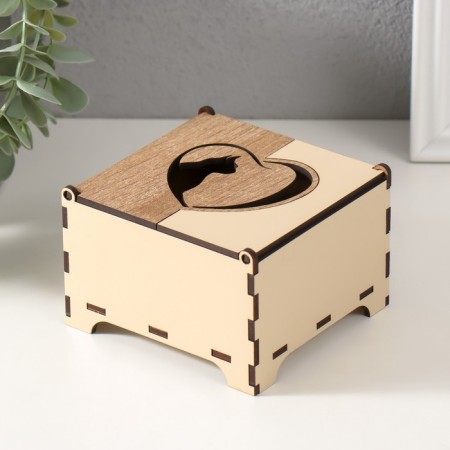 Combined box "Cat in heart" 10.5x10x7 cm-1