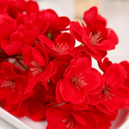 Flowers sakura are soap red, set 50 pcs-3