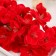 Flowers sakura are soap red, set 50 pcs