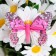 Butterflies for decor and floristry, on the clothespin, plastic, mix, 5 cm and 8 cm