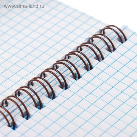 Notepad A6, 80 sheets in a cage on the crest Calligrata, plastic cover, blue-1