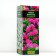 Sage Spirea Japanese Dart’s Red (P9), 1 pc, spring 2024