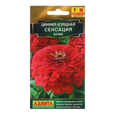 Seeds zinnia sensation scarlet Odn Odn Golden Series Ts/P 12pcs