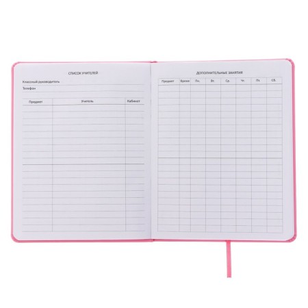 Universal diary for grade 1-11 yes, but no, "solid cover, artificial leather, silkography, lies, 80 g/m2-3