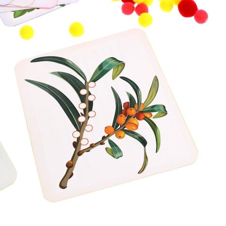 Developing set "Learning plants"-2