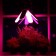 LED phytolamp, E27, 32 W, IP 20, 220 V, four -petal, folding, multi -pointral 7