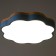 Causteen with PDU 1216/1bl LED 78W 3000-6000K blue 50x50x5 cm Bayerlux