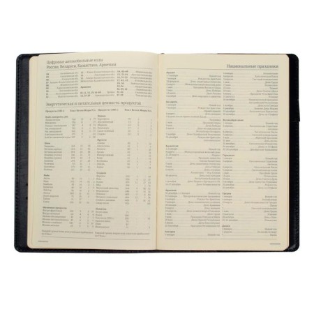 Diary Semi -dated A5, 208 PROFY sheets, reclaid leather, replaced block, gold cut, black-11