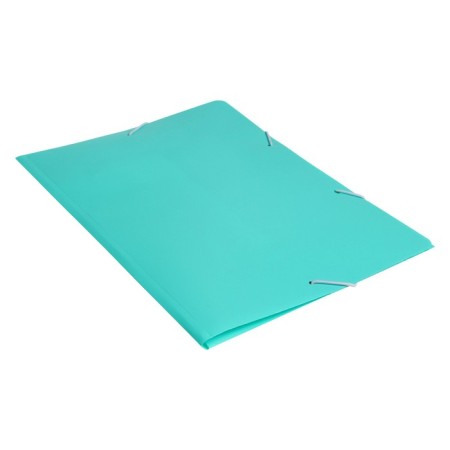 A4, 500 μm elastic band, calligrata, Pastel, spine 20 mm, up to 150 sheets, embossing "sand", mint-1