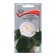 Flowers Begonia Club Blue -flowered white, 5pcs