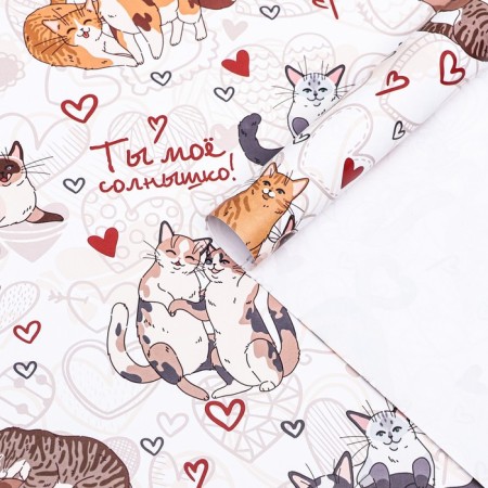 Glossy packaging paper "You are my sun", 70 x 100 cm,
