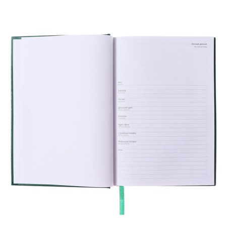 Leduced Diary A5, 160 sheets, Attomex. Orion, solid boumvinyl cover with foam rubber, liesse, block 70 g/m2, green-2