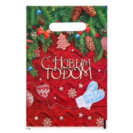 Polyethylene package with a cut -off pen "Here's again the New Year", 20x30 cm, 30 μm