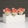 Wooden Kashpo "Hellas Big, Pack", White, 25 × 12.5 × 10 cm