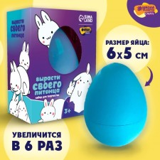 Set for creativity. Grow up your pet 