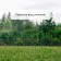 Decorative fence, 32 × 300 cm, 6 sections, plastic, black
