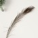 Decorative feather "Peacock" h = 70-80 cm