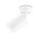 Ambrella Light GU10/LED Max 12 W, 55x555x164 mm, white color switch
