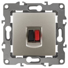Audio, IP20, ERA12, mother -of -pearl socket