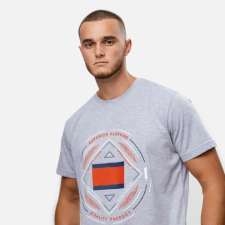 T -shirt male, gray color/print mix, size 44 (s)-1
