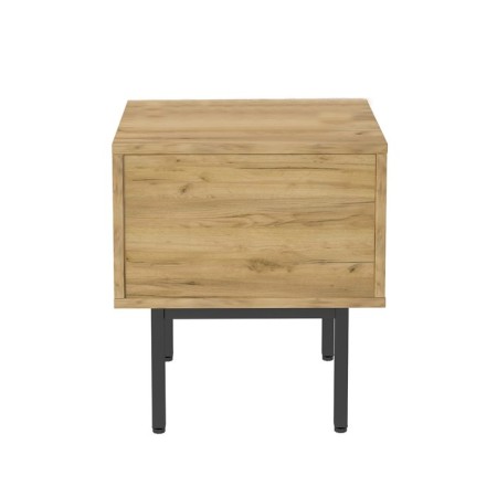 Cleaner BERGEN, 40X35X45 cm, oak craf gold, black-5