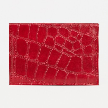Cover for passport, red color-2