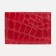 Cover for passport, red color