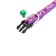 The two -layer collar with the fastx "Bones and legs", 30 x 1 cm, purple