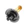 Hoodle lamp Cartage Golden Eye H7, 55 W +30%, 12 V