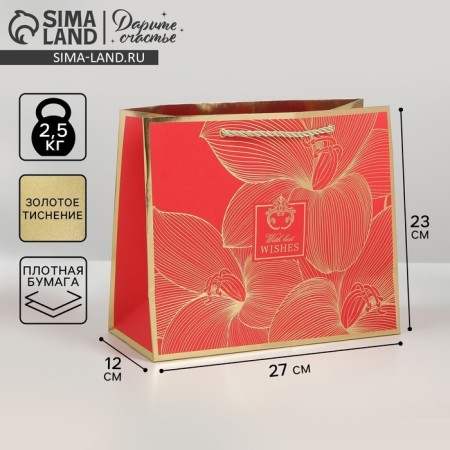 Gift Package Laminated, packaging, “With Best Wishes”, 27 x 23 x 12 cm