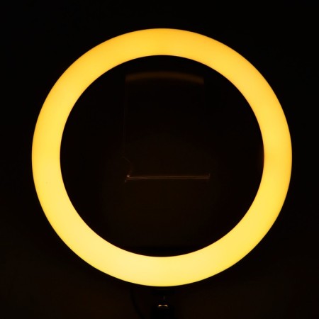 LED ring lamp RJ33, lamp 32 cm, colored backlight, 10 watts-12