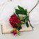 Artificial flowers "duo peony" 12x60 cm, burgundy