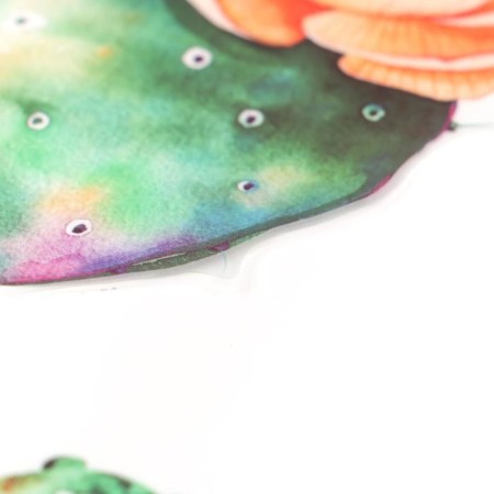 Interior plastic sticker "succulents" 60x90 cm, mix-3