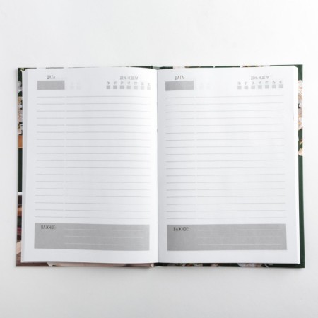 Gift set "Dear Teacher": A5 Diary, 80 sheets, thermostatic 350 ml-3