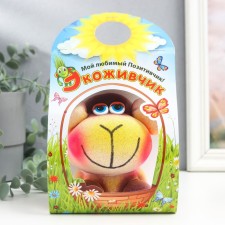 Growing Gift Herring 