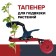 Tapener for garter garter
