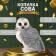 Pig a piggy bank "Big gray owl" 27x20x24 cm