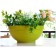 Parma bowl, d = 23, for flowers, pistachio