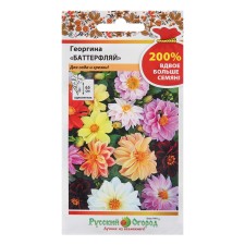 Batterflya flower seeds 