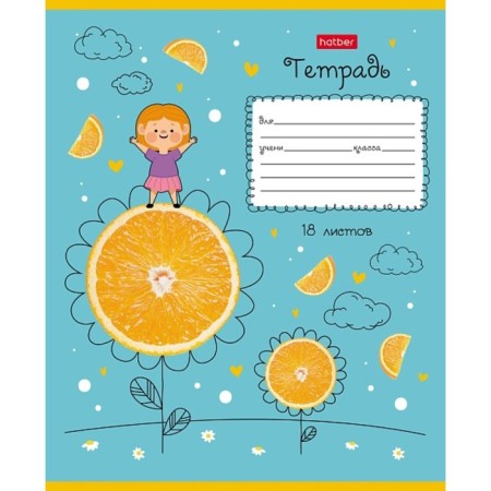 Notebook 18 sheets in a cage "on an orange planet", covered cardboard, embossing, block 65 g/m2, 5v mix-4