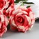 Artificial flowers "Paloma Rose" D-8 cm 53 cm, pink