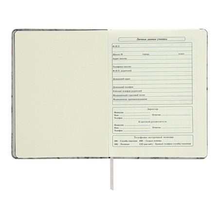 Diary 1-11 grade "Gray marble", artificial leather, a solid cover with embossing, with liesa, 48 sheets-4