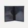 Cover for passport, black color