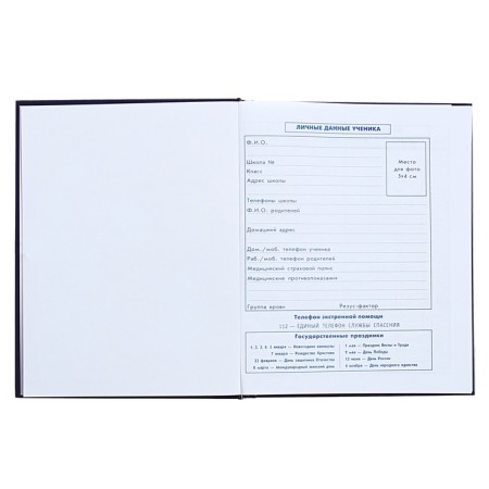 Diary for grades 5-11, 48 sheets "Cosmo Cat", solid cover, glossy lamination, foil embossing-5