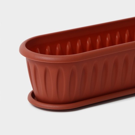 A pot for a cactus with a felicia pallet, terracotta color-1